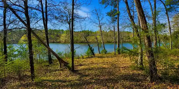 519 Terrapin Pointe Rd