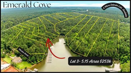 Lot 3 Emerald Cove Lake Community