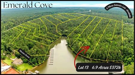 Lot 13 Emerald Cove Lake Community