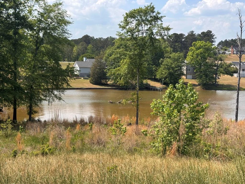 Image 1: Main View