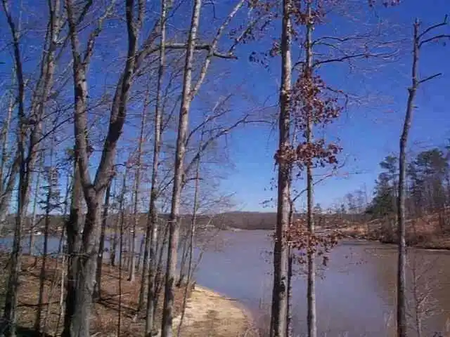 Image 1: Main View