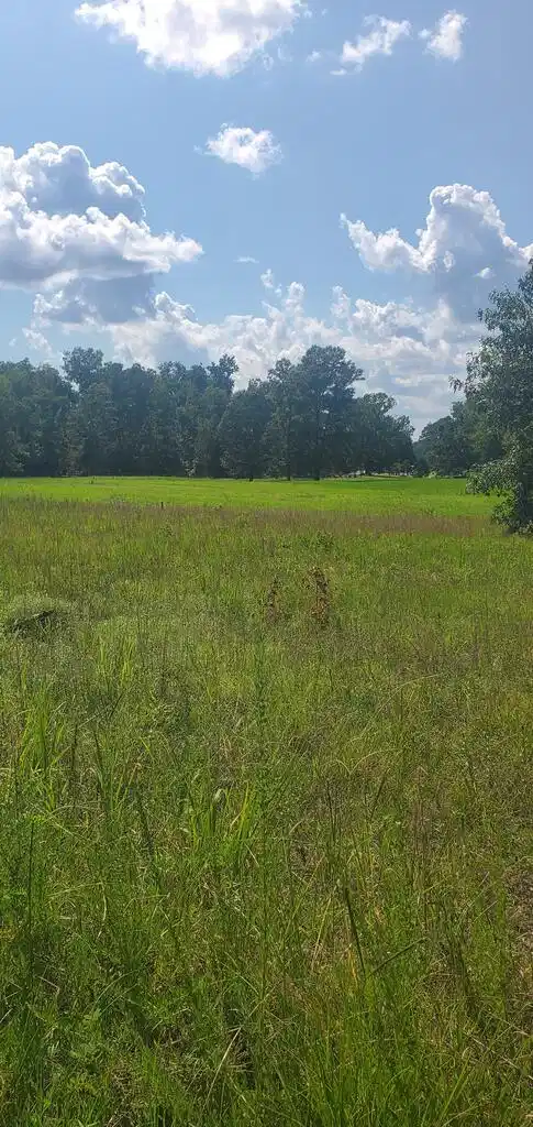 Image 1: Main View