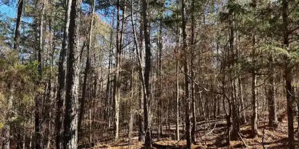 Lot A 00 Terrapin Pointe