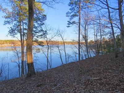 854 Eagles Harbor Dr