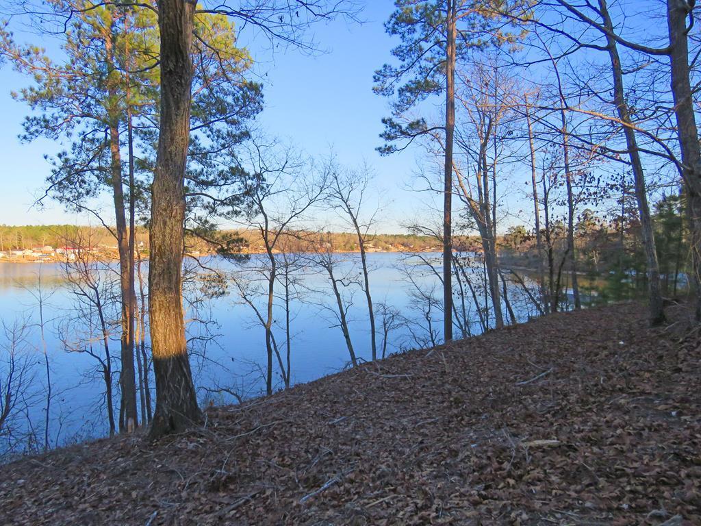 Image 1: Main View
