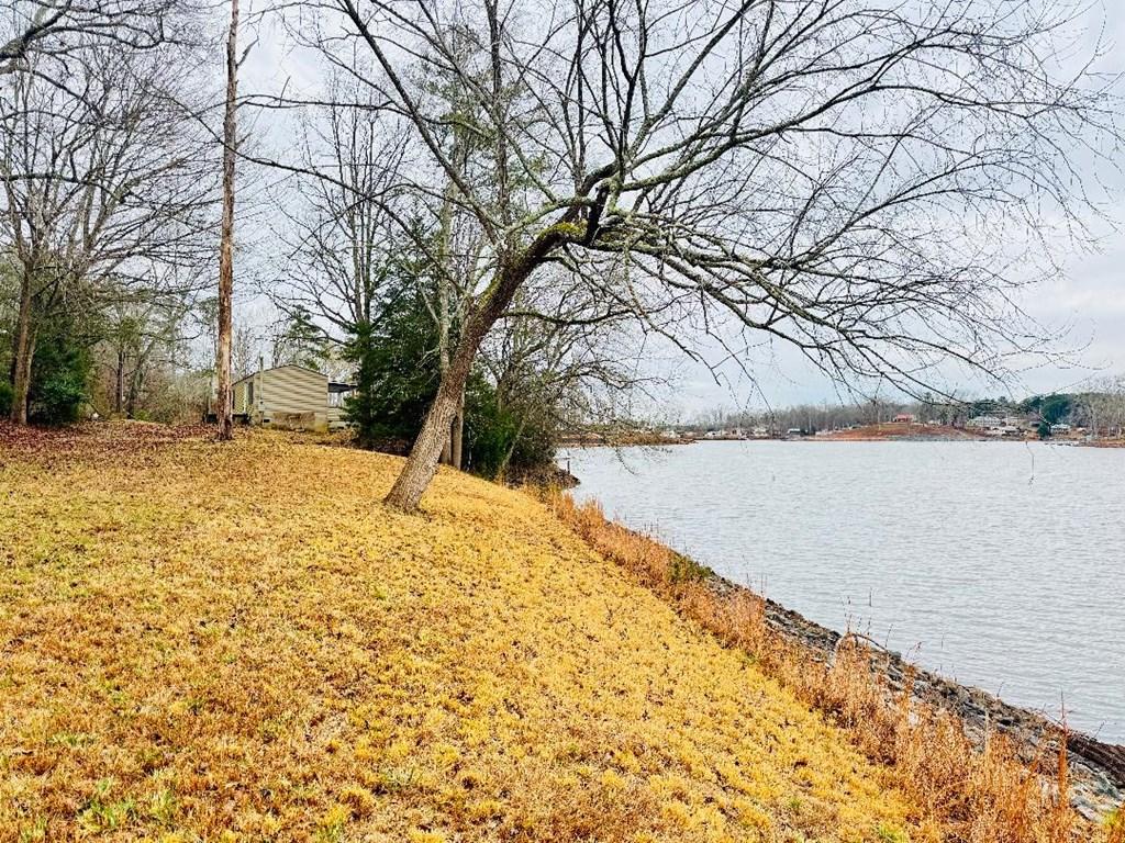 Image 3: LOT OVER 1/2 ACRE