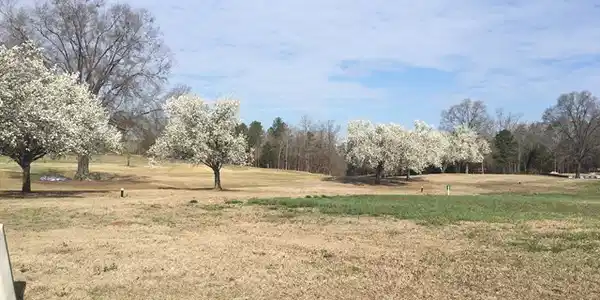 191-193 Swing About