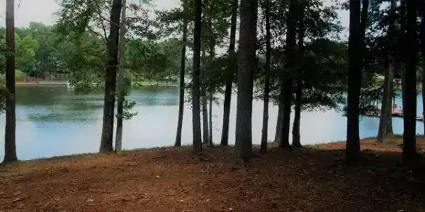 Lot 20 Cabin Cove
