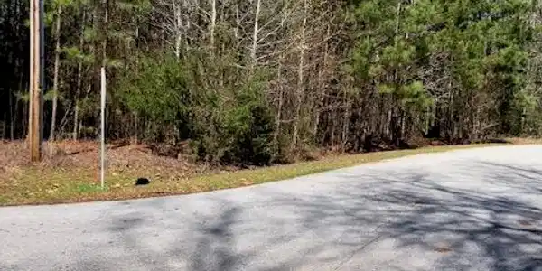 0 nature drive