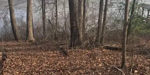 150 Mountain Shore