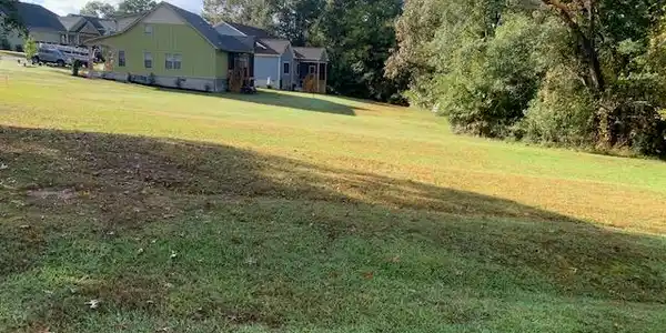LOT 25 SWING ABOUT/CHAMPION GREEN
