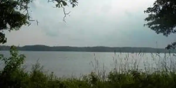 -- Summerset Bay Dr