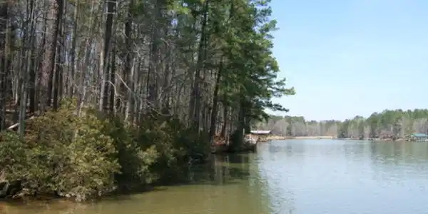 7 7 watersedge