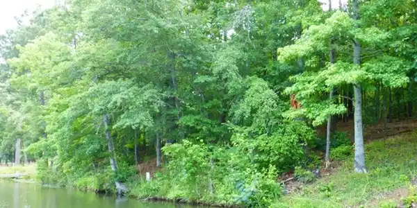 33 Fawn Court