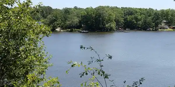 708 Eagles Harbor Dr 