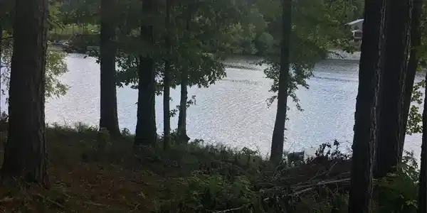 00 Inlet Point