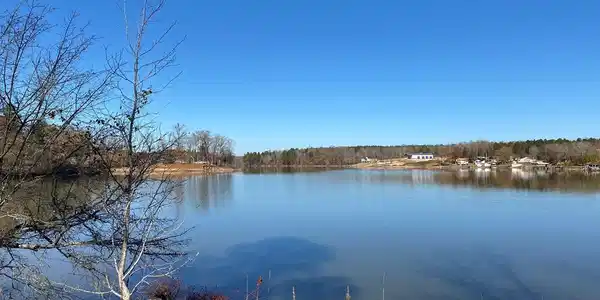 808 Eagles Harbor