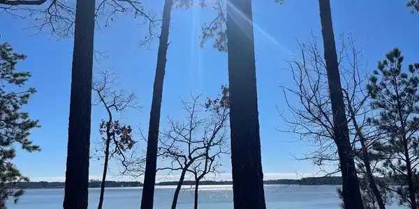 0 Lot 8 Summerset Bay Drive