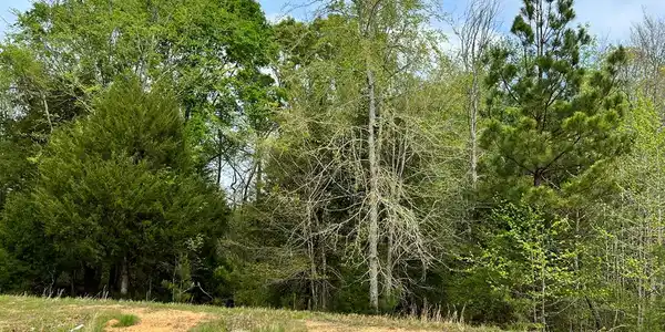 108 King Circle (Lt 38)