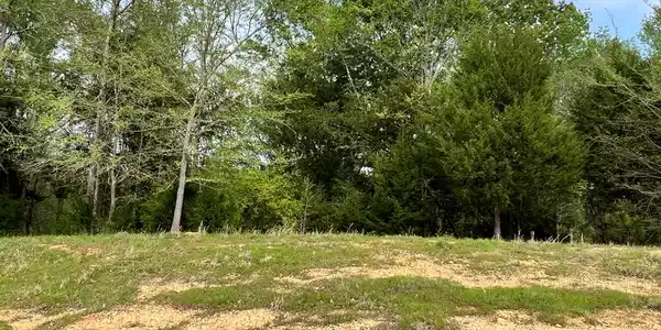 110 King Circle (Lt 37)