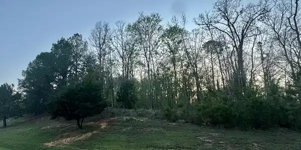 987 Eagle Harbor