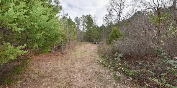 Shrine Club Rd