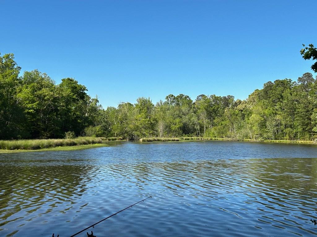 Image 2: Lake View of Peaceful Low Traffic Cove. Lot is doc