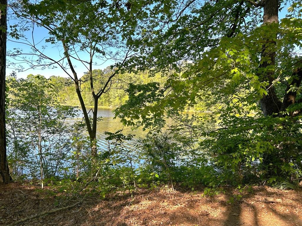 Image 3: With a little clearing out of bushes at shoreline