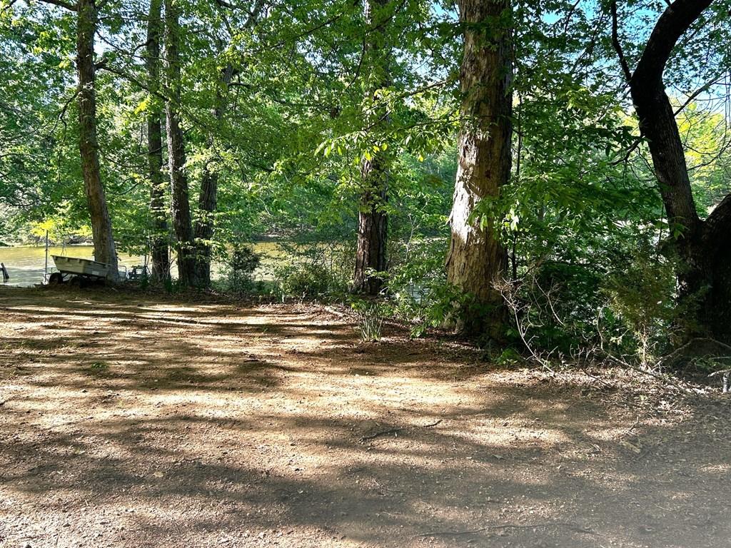 Image 4: Lot is level at the water and could easily be clea