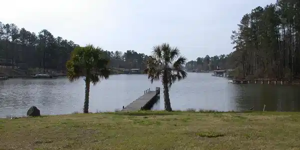 Lot 123 Pineland Road