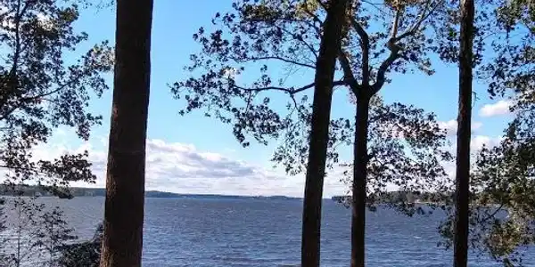 00 SCURRY ISLAND ROAD
