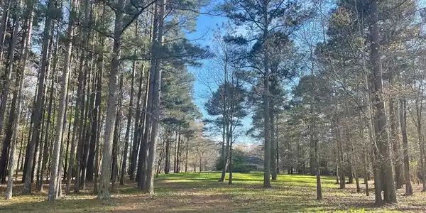 329 Compass Point
