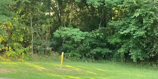 118 Champion Green