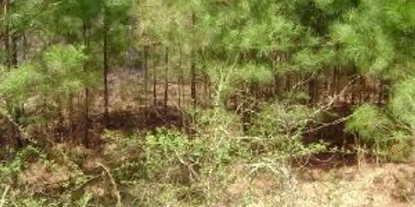lot 32A Commodore Drive