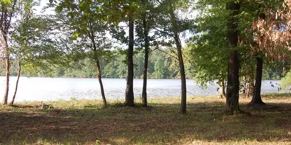 Lot 106 Eagles Harbor