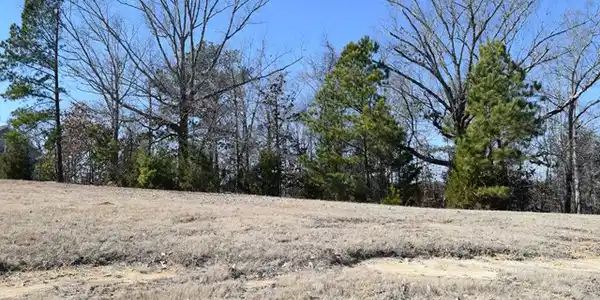 146/602 Spyglass/Swing About