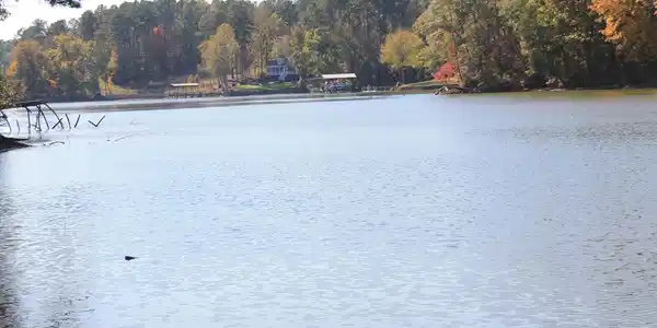 338 Watersedge