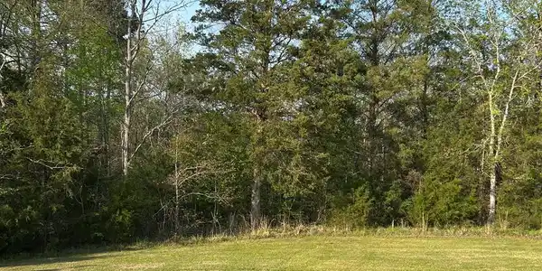 118 Verde Ct