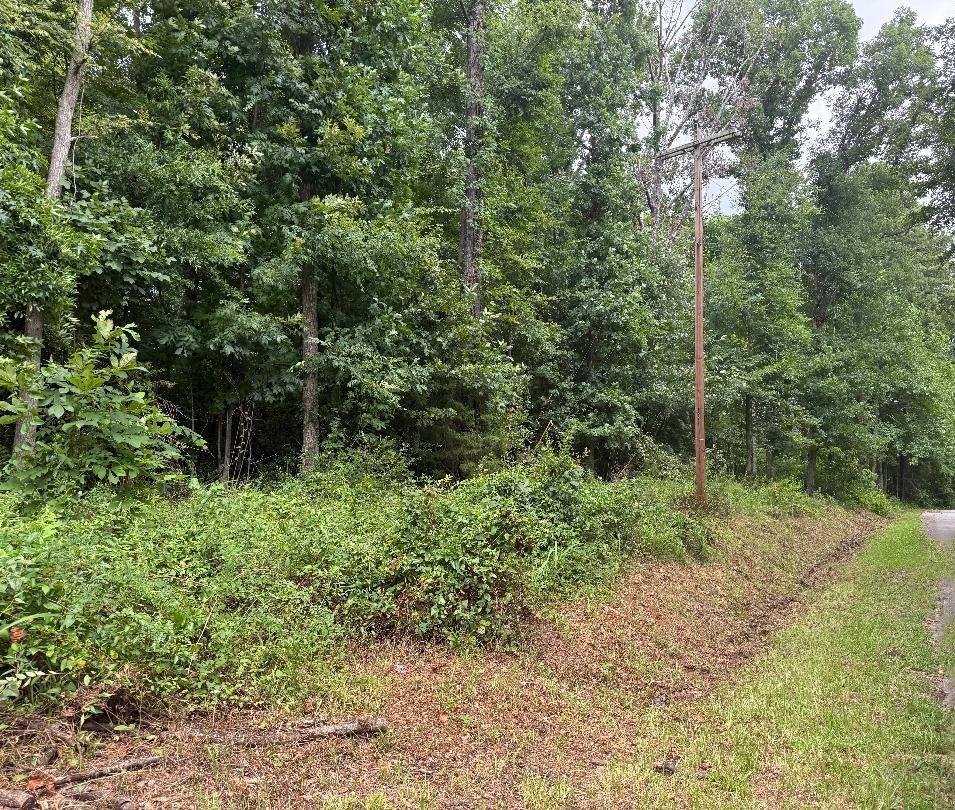 Image 1: Main View