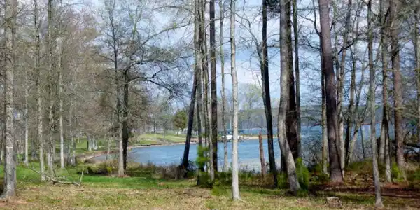 124 Sassafras Blvd (Lot 63)