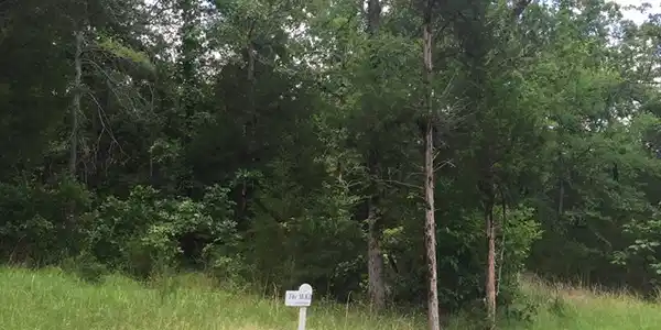 383 Abercrombie Point