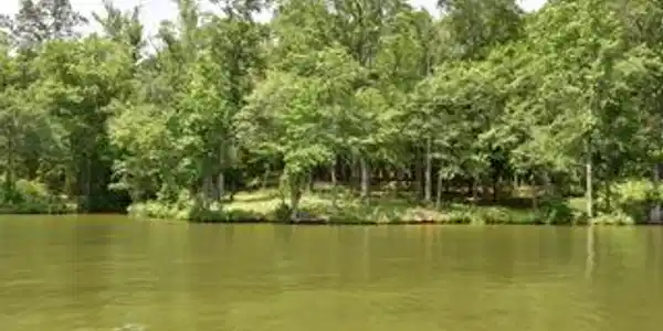 104 Long Point Road