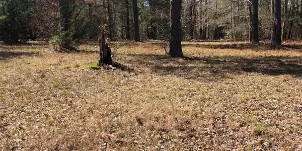 18/19 Nature Drive