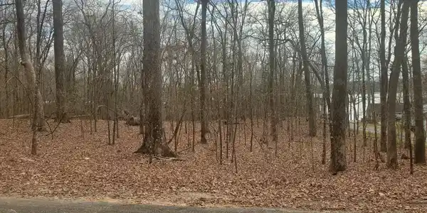 000 Lake Forest Dr.