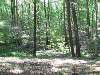 8 Cub Lake Rd