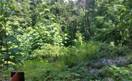 21 Rockledge Rd