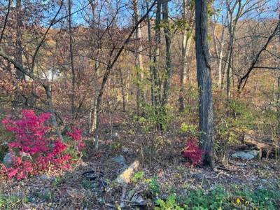 9 Old Woodland Trl