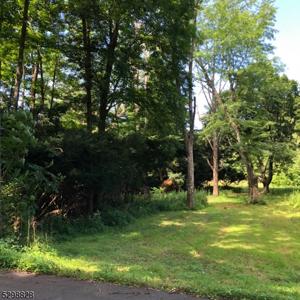 17 Delaware Rd