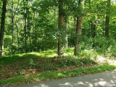 8 Cub Lake Rd