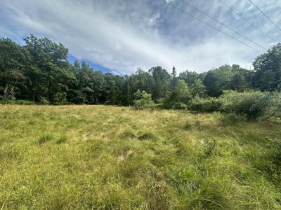 Moncove Lake Road